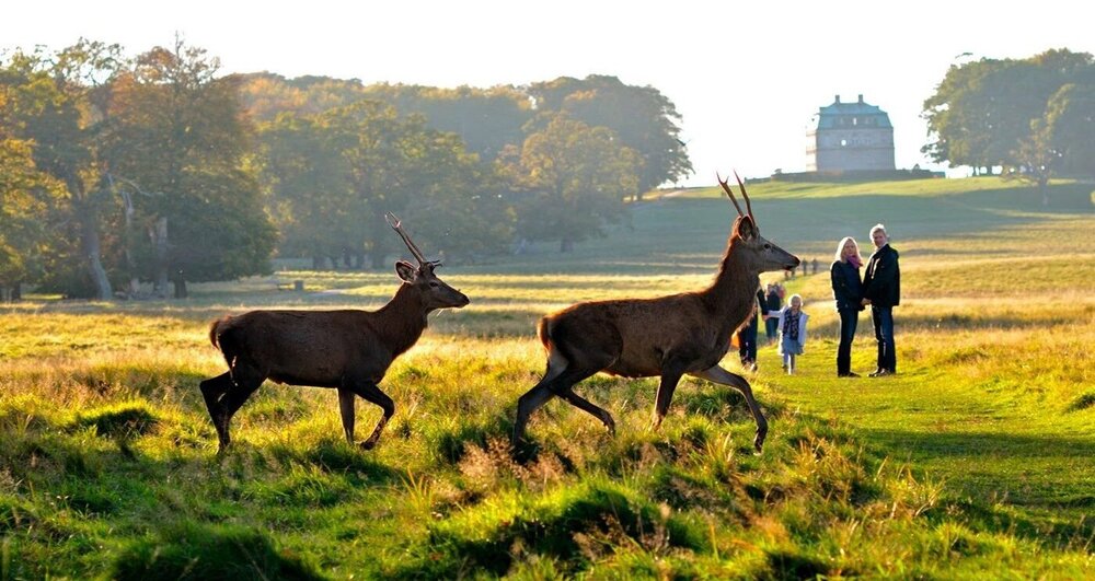 Parcs nationaux de Tju et Mols Bjerge, Danemark