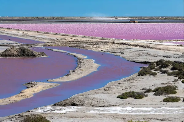 Marais salants colorés