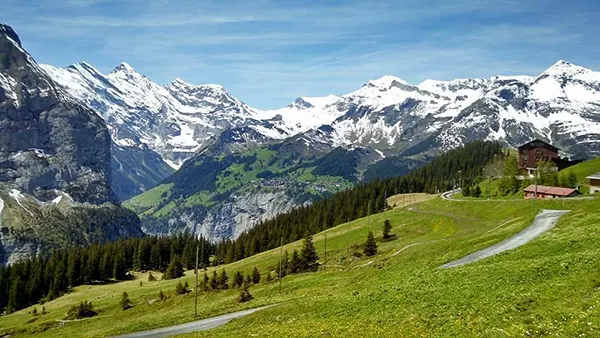 Будь ласка, створи ще одне прямокутне, горизонтальне зображення для цієї статті не використовуючи текст чи цифри на ньому. Сюжет цього зображення має повністю відрізнятися від попереднього зображення! Зображення повинно бути яскравим та реалістичним.